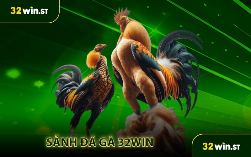 Sảnh Đá gà 32WIN kịch tính